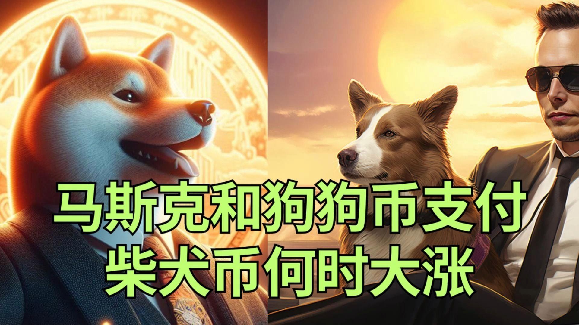 马斯克再次发推，狗狗币瞬间上飙升LDO%！，引爆行情的简单介绍